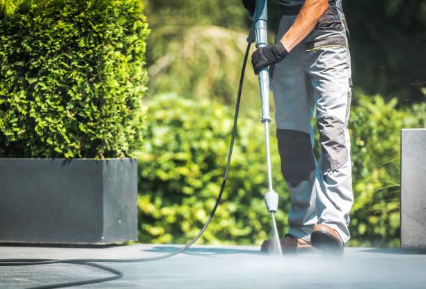 Best Paint Preparation  in Benton, IL