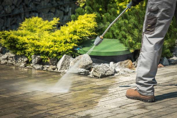 Best Spring Cleaning  in Benton, IL