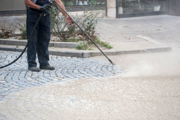 Best Driveway Pressure Washing  in Benton, IL