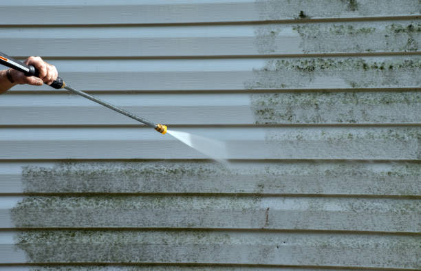 Best Dumpster Area Cleaning  in Benton, IL